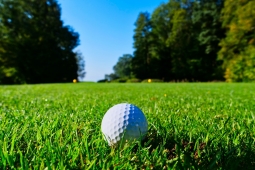 Pitch & Putt 9-holes - Pitch & Putt Golf Heerde